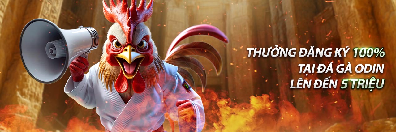 Gà chọi Wala (Xanh) trong đá gà Bet188